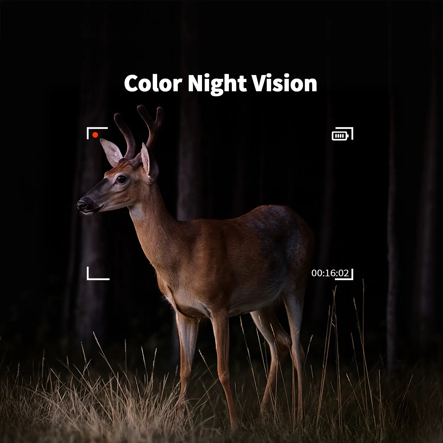 Wireless Cellular trail cameras for security