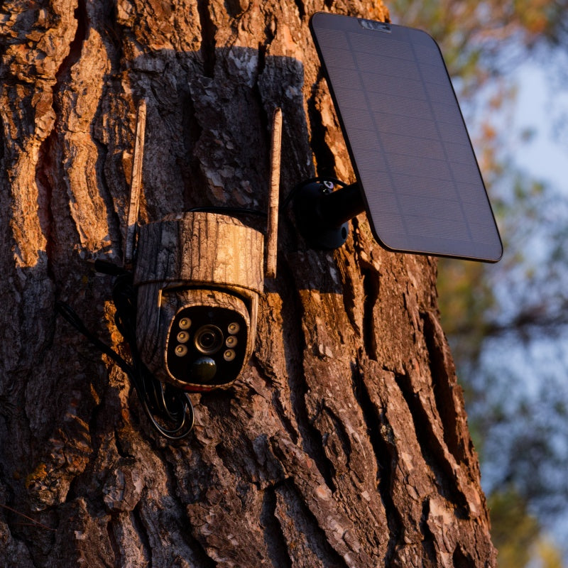 Best Solar-Powered Security Camera System on the Market